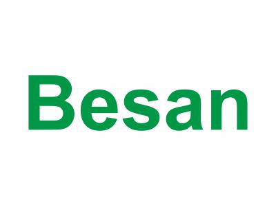 Besan