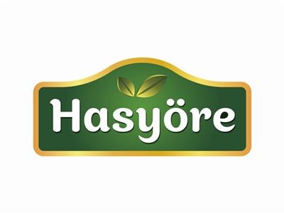 Hasyöre